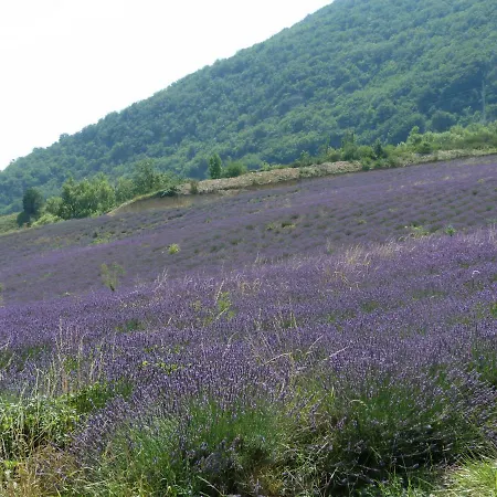 La Clairiere Villa Pierrelongue Buitenkant foto