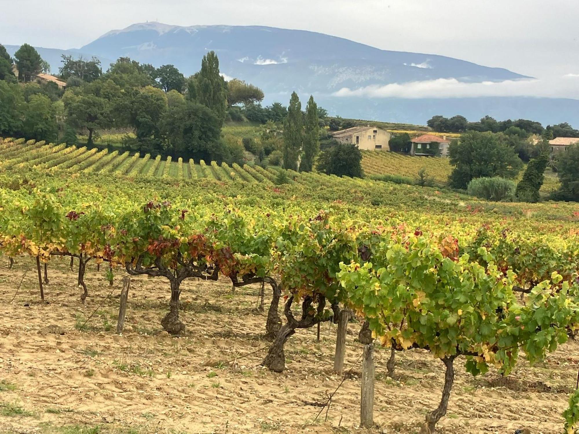 La Clairière Hébergement de vacances *