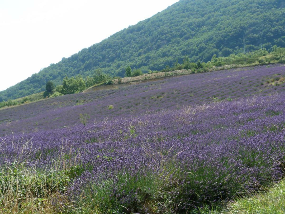 La Clairière
